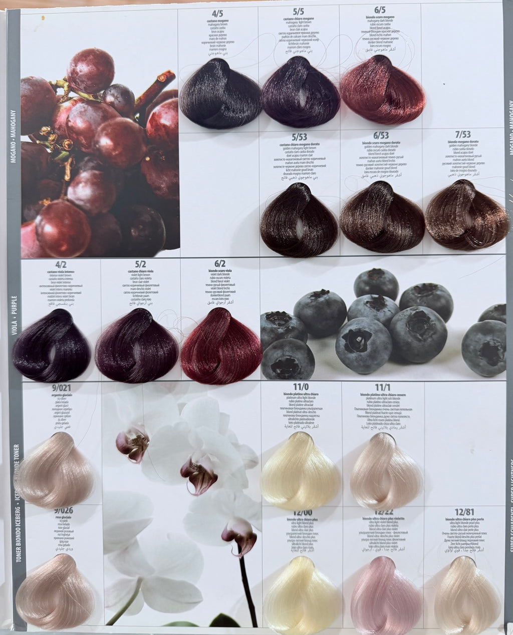 SINERGY COLOR 100ML
