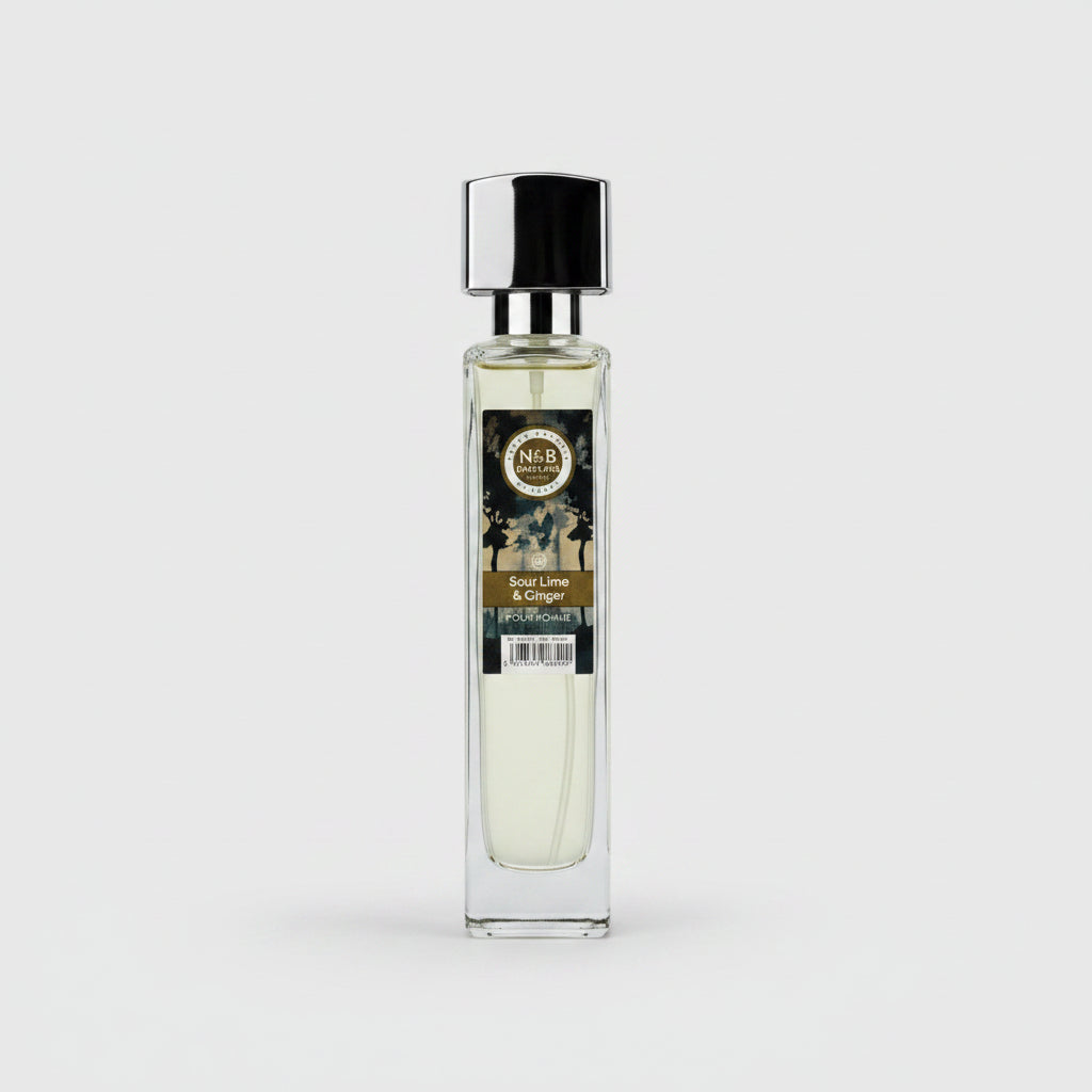 N & B PARFUM UOMO 150ML